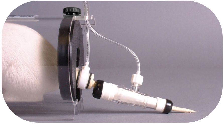 实验干货｜超详细的大小鼠无创血压检测操作指南