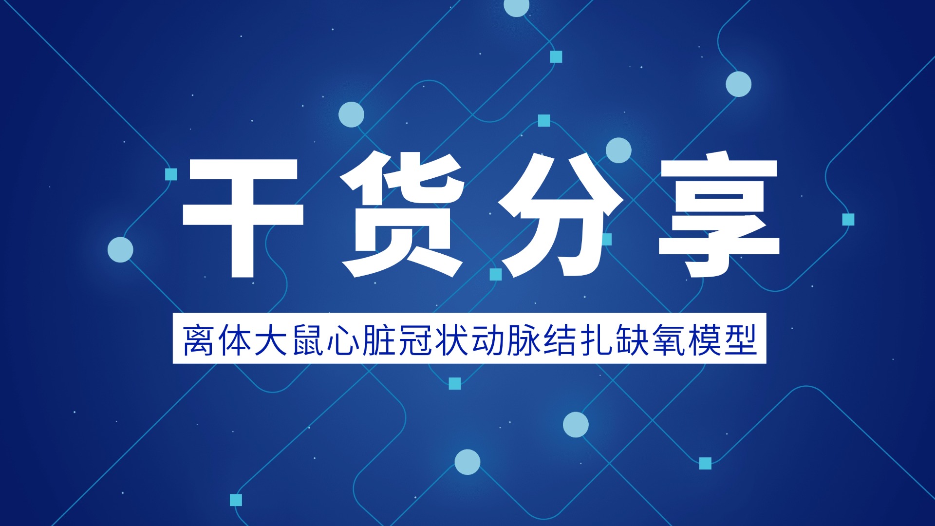 离体大鼠心脏冠状动脉结扎缺氧模型实验报告