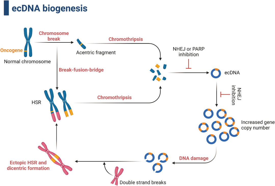 2026年国自然医学杰青十大热门研究方向前瞻：从CNS前沿到标书落地