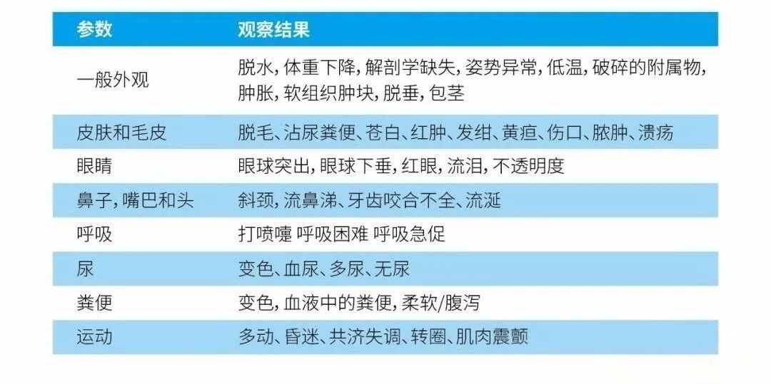「动物实验终点」踩错一步？论文可能直接被退！