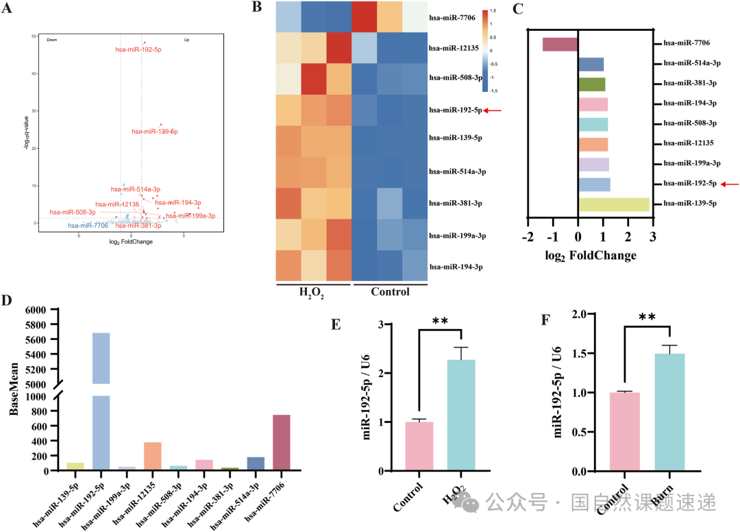 Bioactive Materials最新研究：外泌体把 miRNA “送到该去的地方”，烧伤创面因此更快愈合