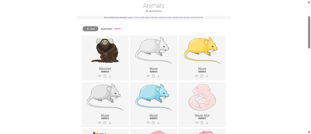 盘点4个免费的科研绘图素材库，研究生真的该收藏了