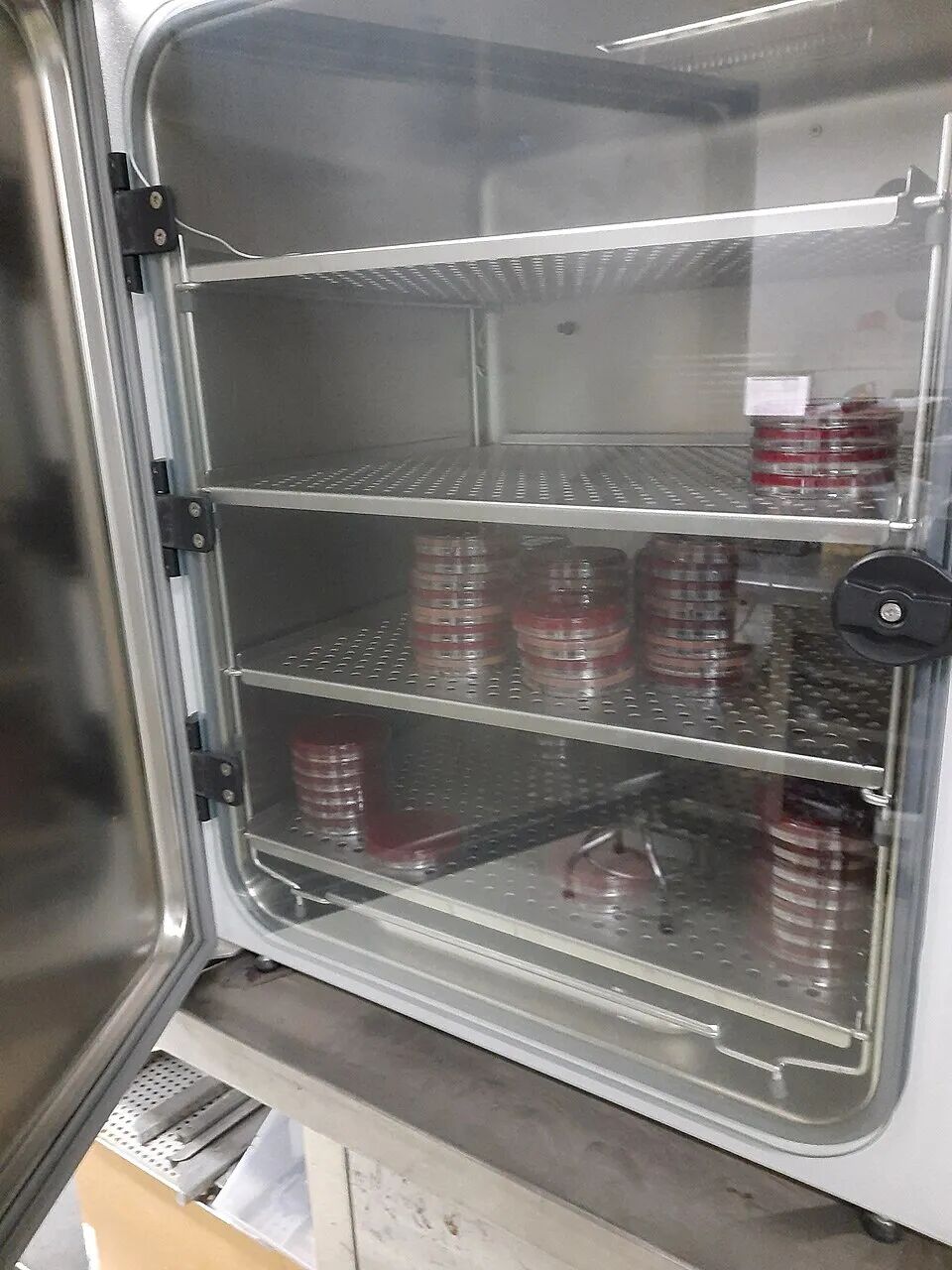 实验干货｜生物实验样本、试剂与耗材的保存攻略