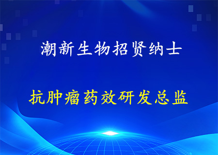 抗肿瘤药效研发总监
