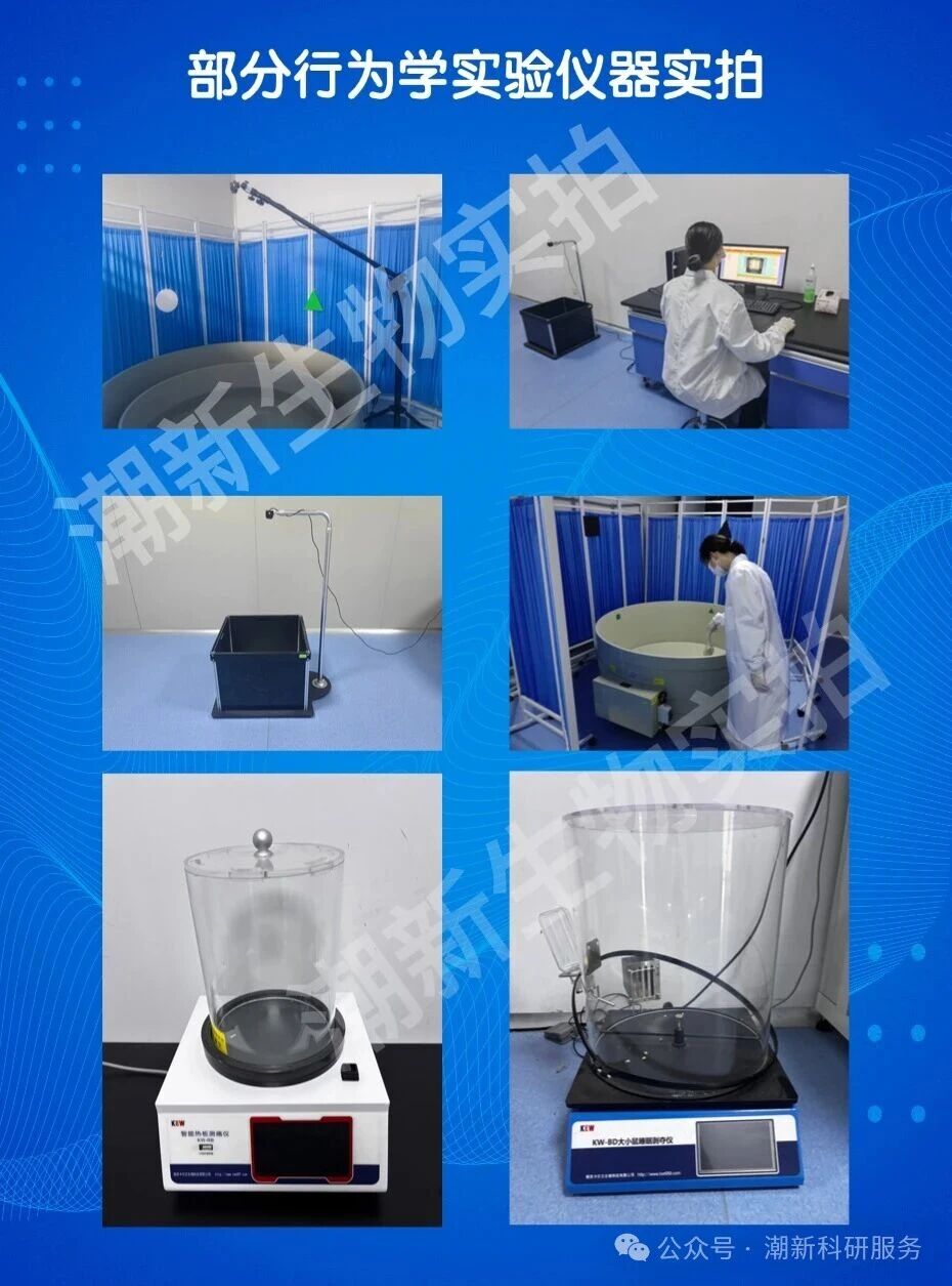 南京潮新生物：一站式动物行为学实验服务平台，让您多快好省做实验