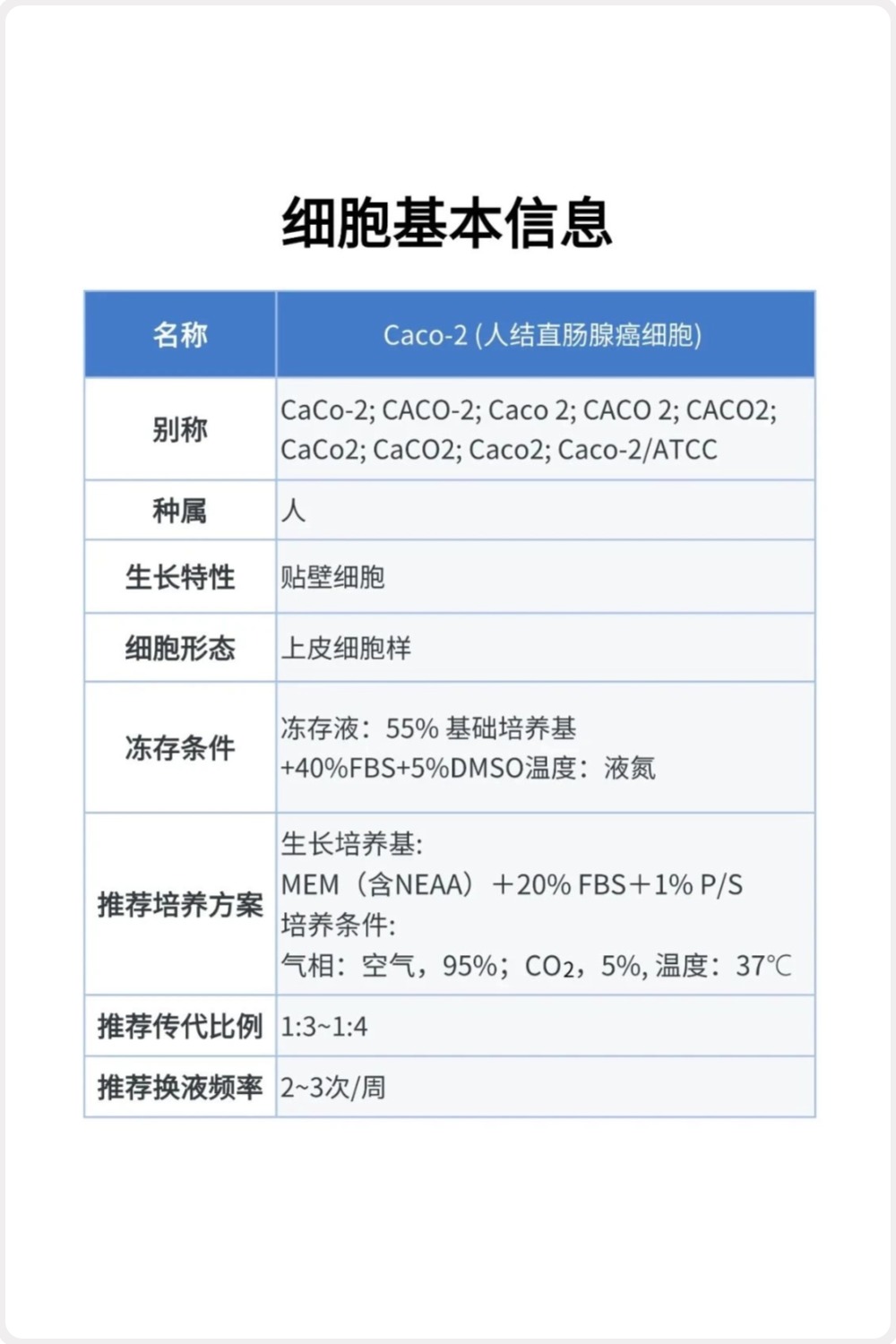 有了这份Caco-2细胞培养教程，科研新手也能轻松上手！