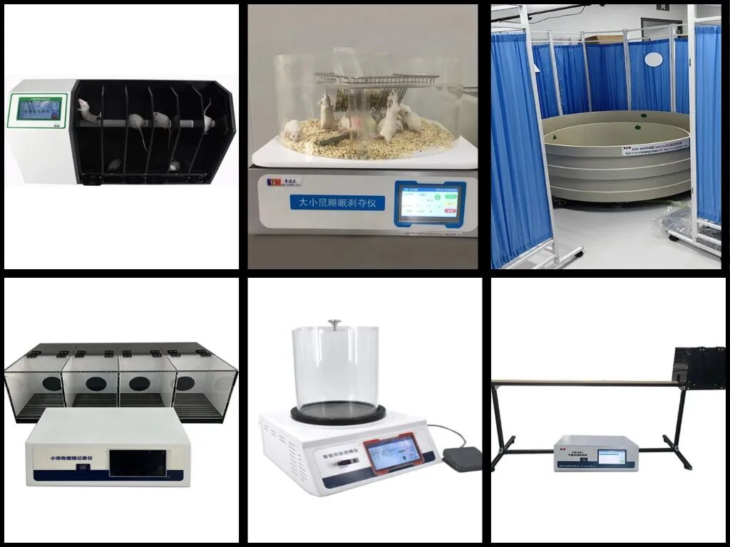 潮新生物｜从行为学评价到药效验证，为科研提供更可靠的实验支撑
