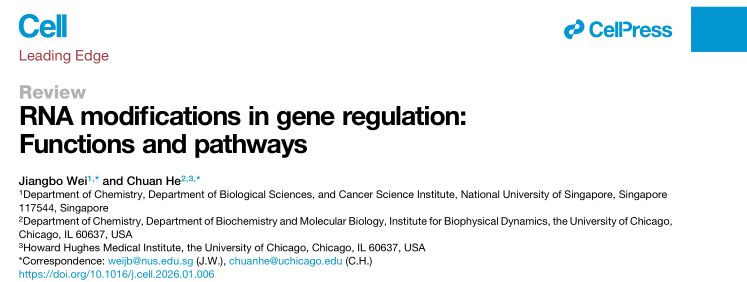肿瘤为何总能免疫逃逸？Cell指出m6A是关键变量