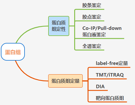 蛋白组学丨蛋白质组学研究不走弯路！研究思路全在这里