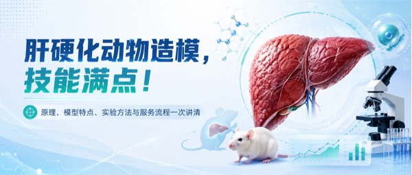 肝硬化动物造模常用方法、模型特点一次讲清！
